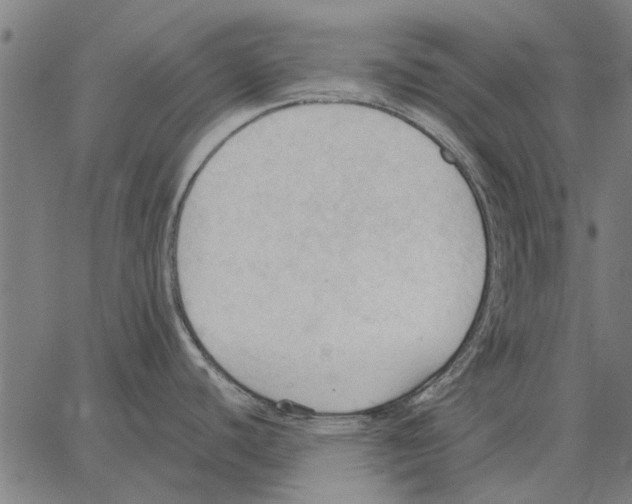 X0000062891440200602101730