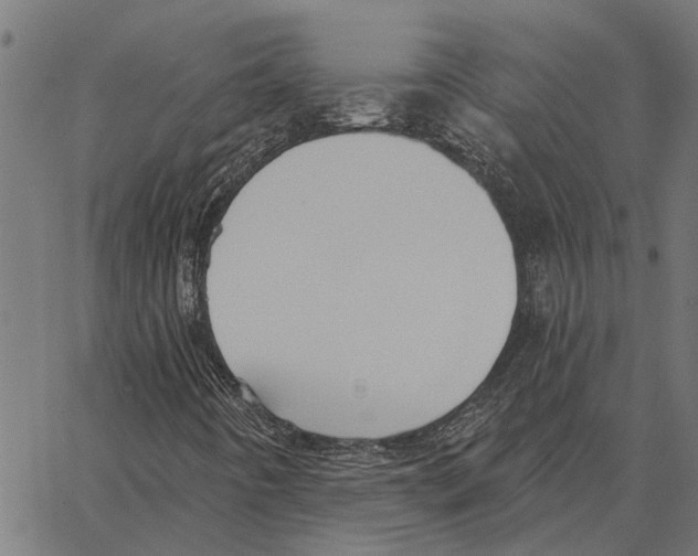 X0000062891442200602101729