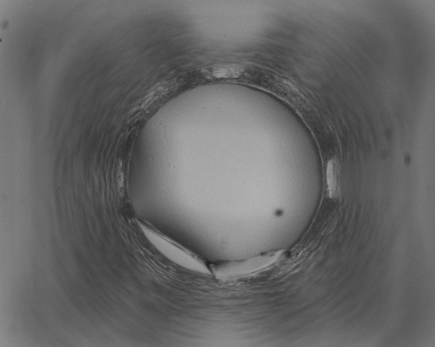 X0000062891443200602101729