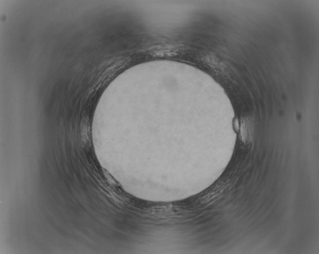 X0000062891444200602101729