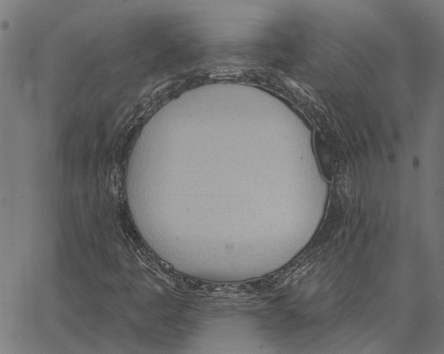 X0000062891445200602101729