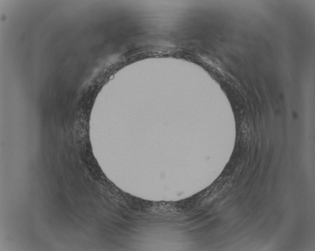 X0000062891447200602101729