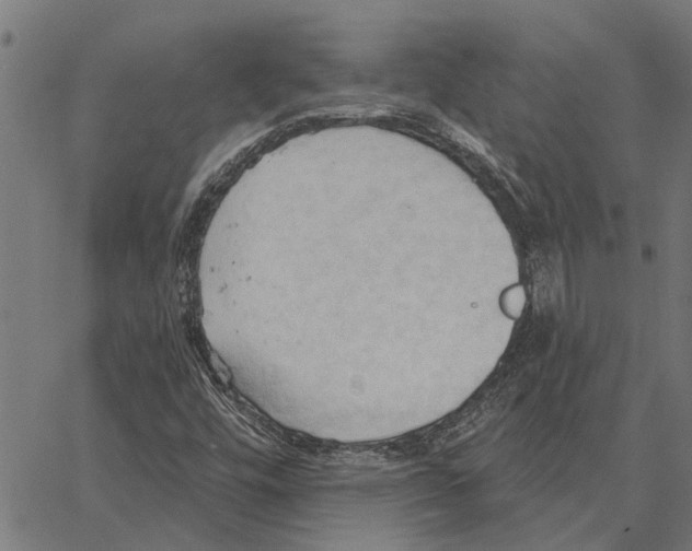 X0000062891448200602101729