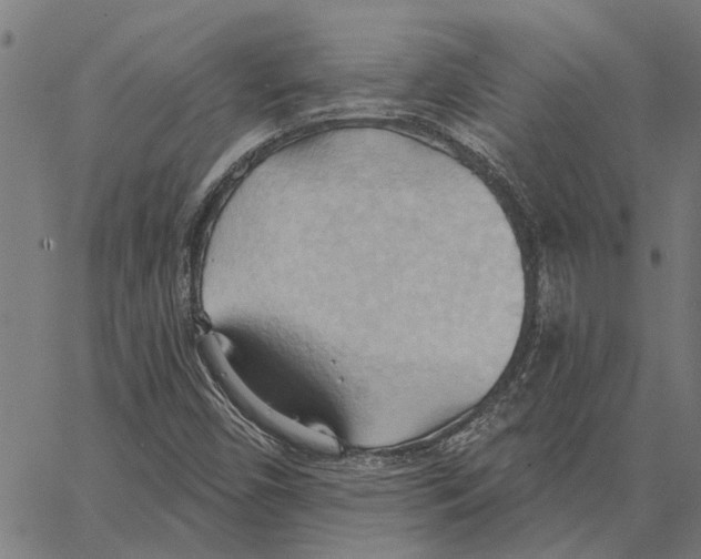 X0000062891450200602101729