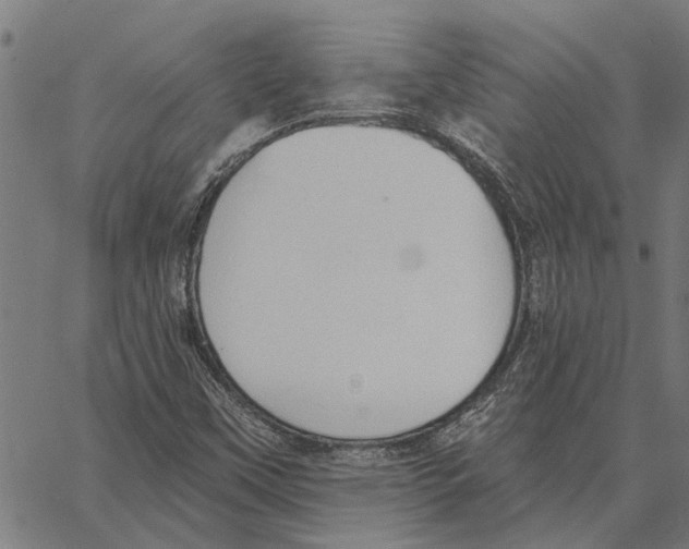 X0000062891451200602101729