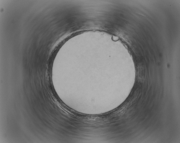 X0000062891452200602101729