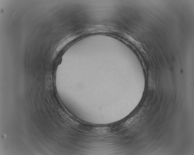 X0000062891453200602101729