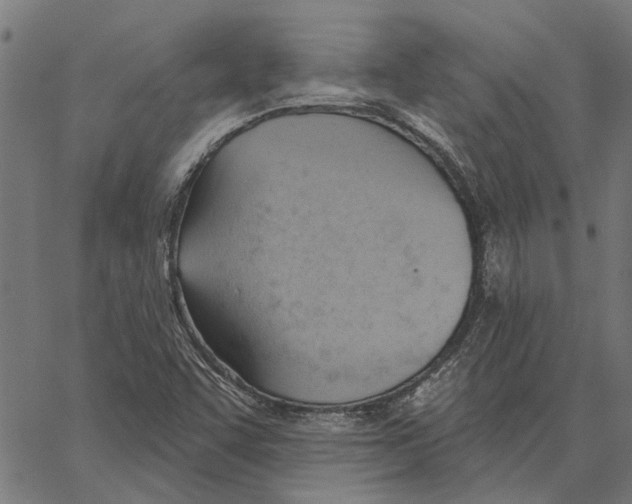 X0000062891455200602101729