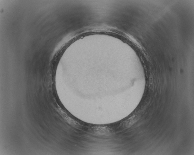 X0000062891456200602101729