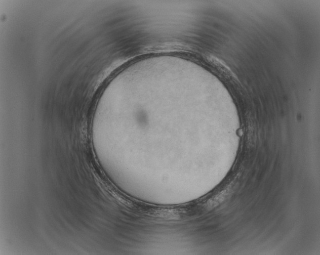 X0000062891457200602101729