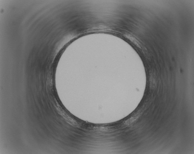 X0000062891458200602101729