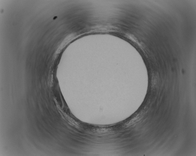 X0000062891459200602101729