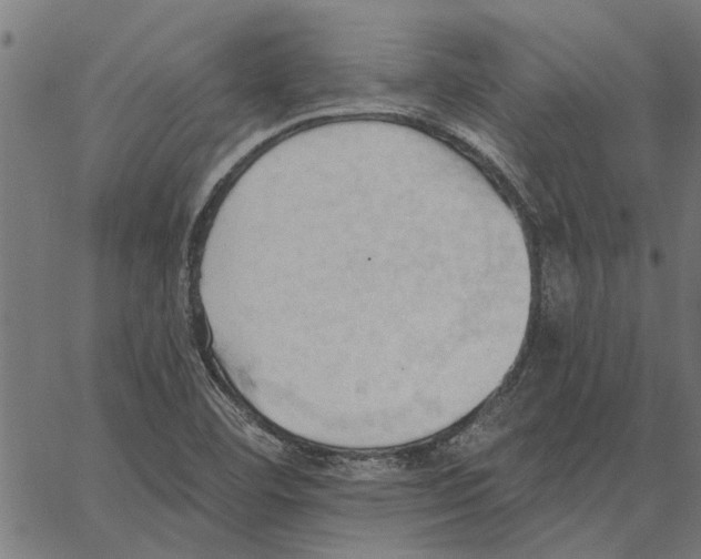 X0000062891460200602101729