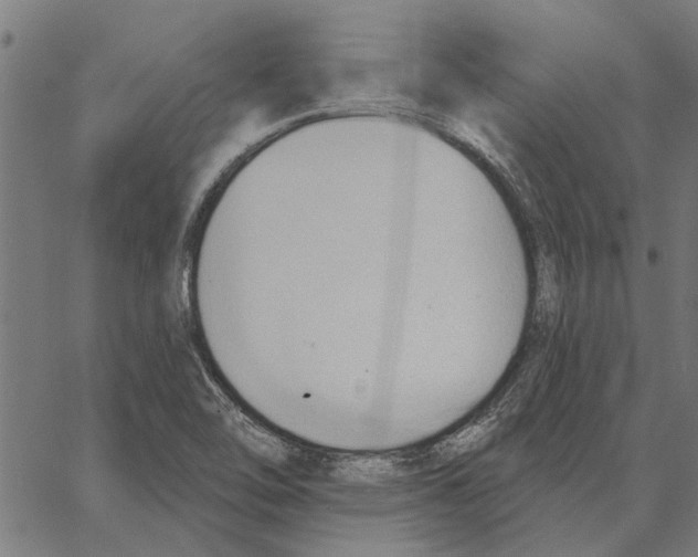 X0000062891462200602101729