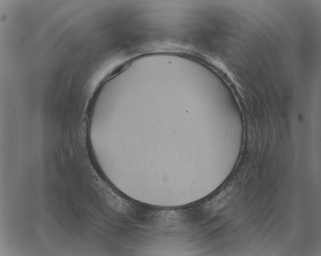 X0000062891463200602101729