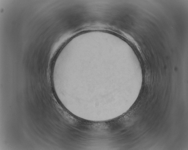 X0000062891464200602101729