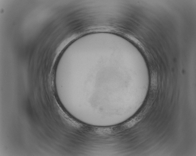 X0000062891466200602101729