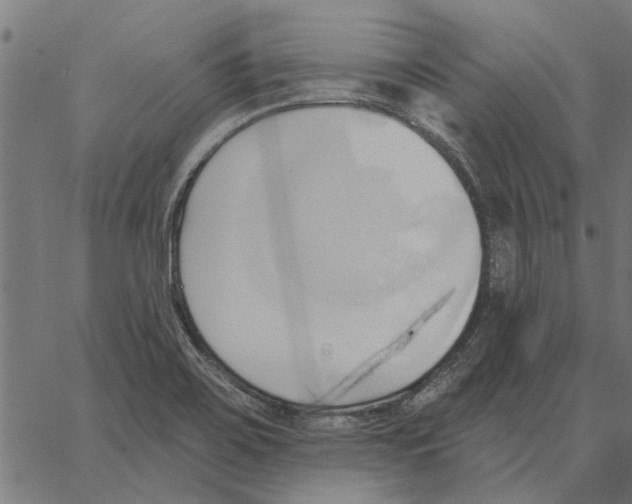 X0000062891467200602101729