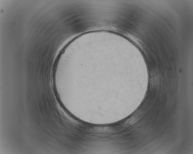 X0000062891468200602101729