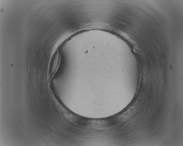 X0000062891469200602101729