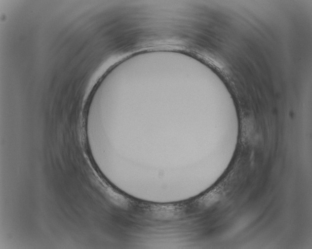 X0000062891470200602101729