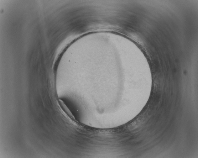 X0000062891472200602101729