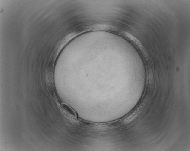 X0000062891473200602101729