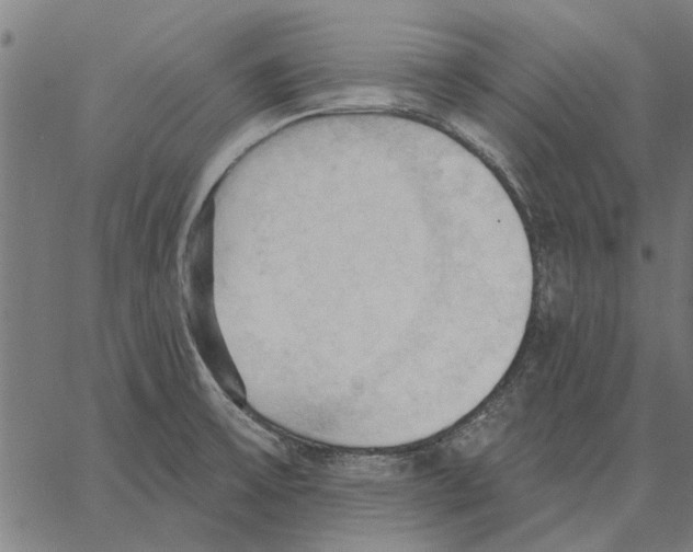 X0000062891475200602101729