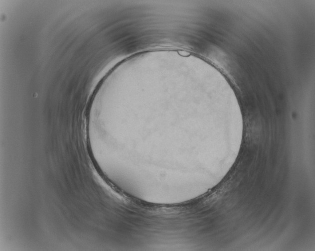 X0000062891476200602101729