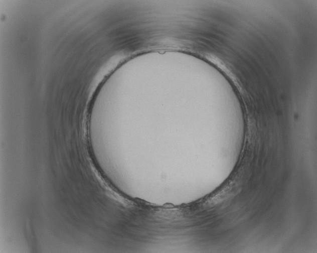 X0000062891477200602101729