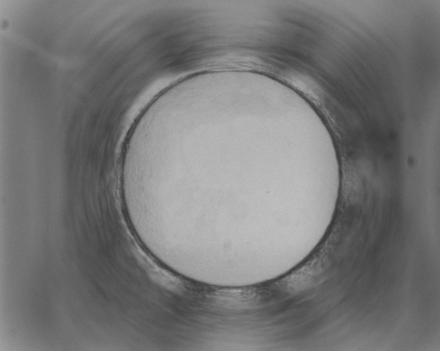 X0000062891478200602101729