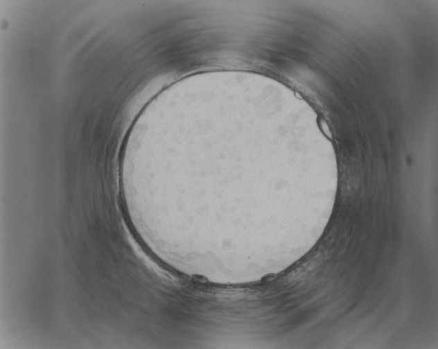 X0000062891479200602101729