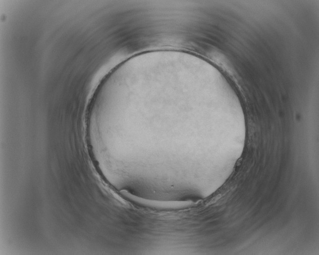 X0000062891480200602101729