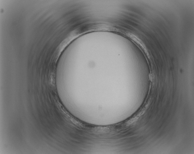 X0000062891481200602101729