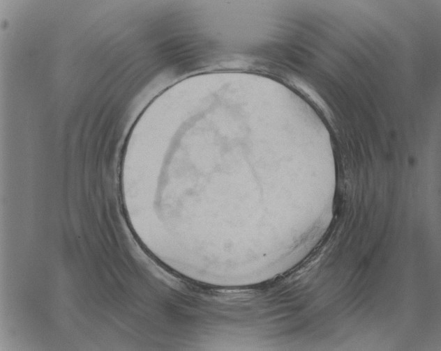 X0000062891483200602101729