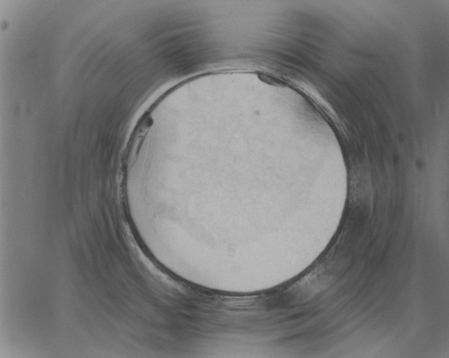 X0000062891484200602101729