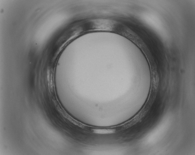 X0000062891487200602101729