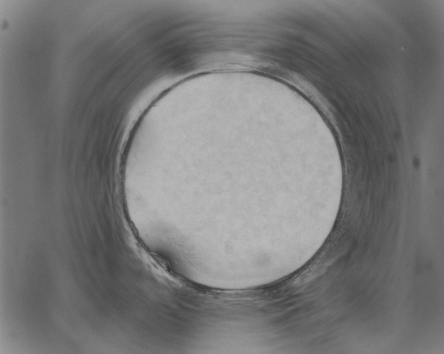 X0000062891488200602101729