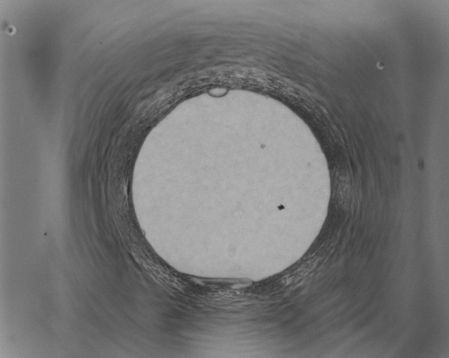 X0000062891489200602101728