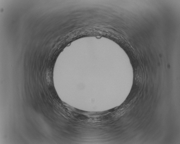 X0000062891490200602101728