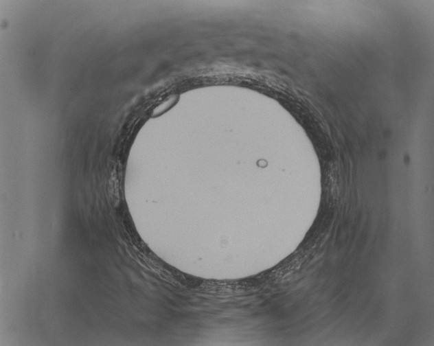 X0000062891493200602101728