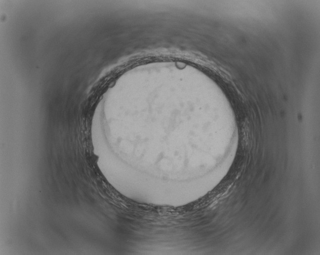 X0000062891494200602101728