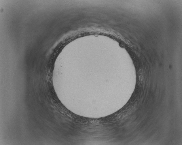 X0000062891495200602101728