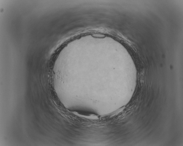 X0000062891496200602101728