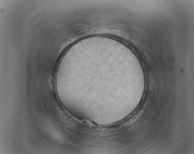 X0000062891497200602101728