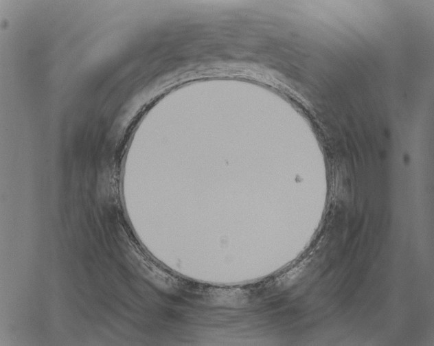 X0000062891498200602101728