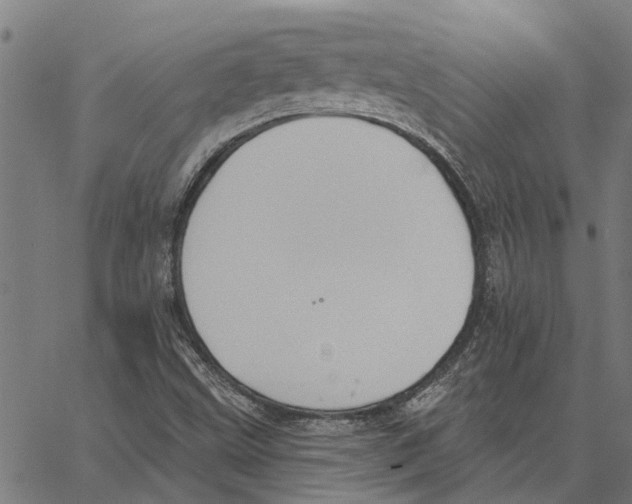 X0000062891499200602101728