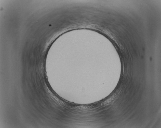 X0000062891500200602101728