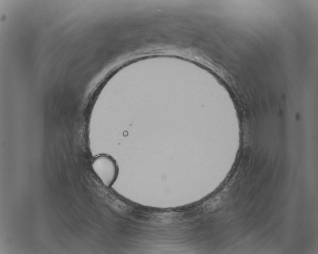 X0000062891502200602101728