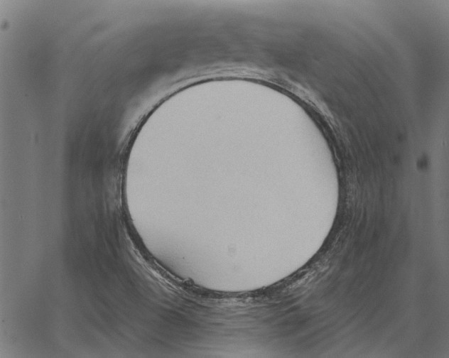 X0000062891504200602101728